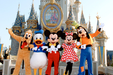 Port Canaveral (Orlando) Walt Disney World cruise excursion